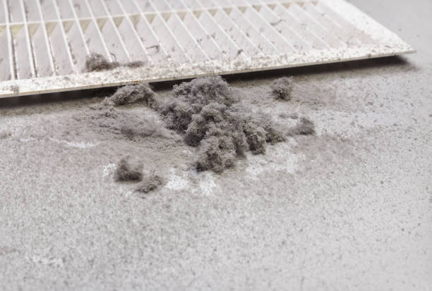 Best Best Air Duct Cleaning Near Me  in Minorca, LA