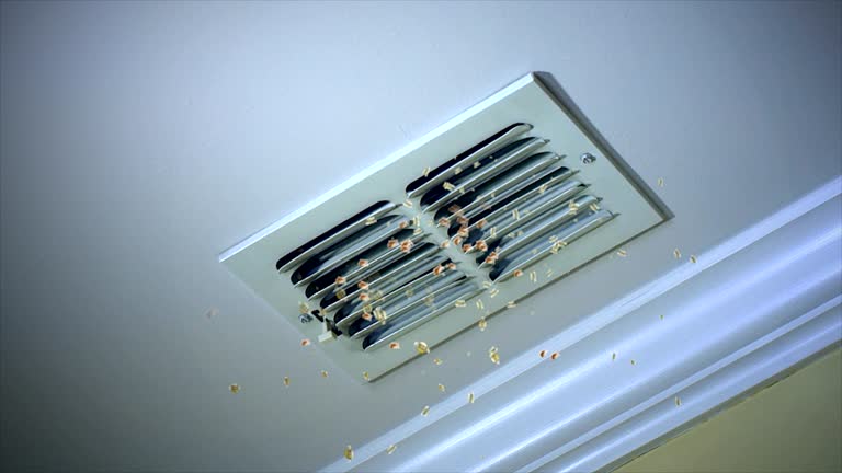 Best HVAC Air Duct Cleaning  in Minorca, LA
