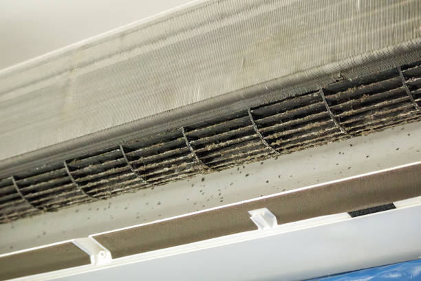 Best Emergency Air Duct Cleaning  in Minorca, LA