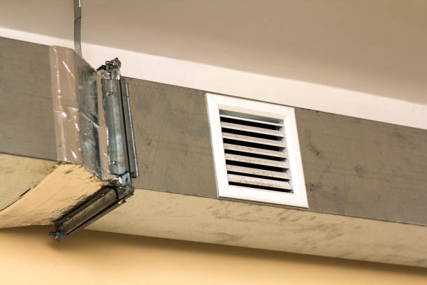 Best Best Air Duct Cleaning Company  in Minorca, LA